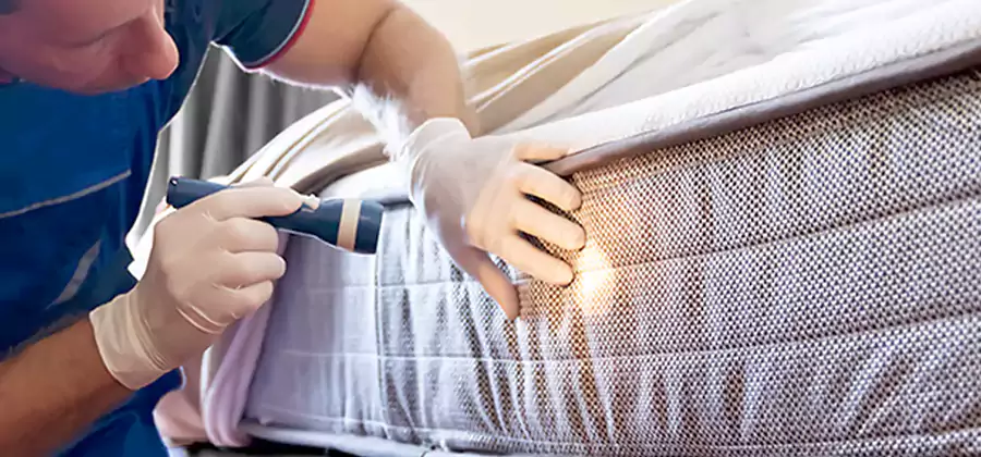 Residential Bed Bug Treatment Cost in Canton