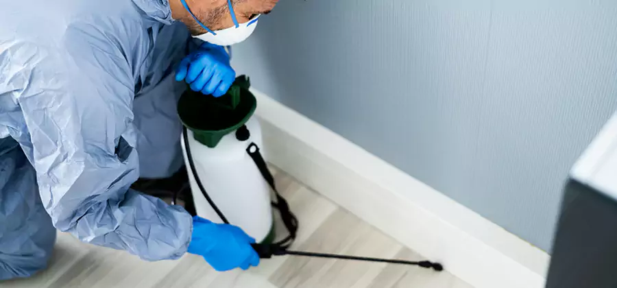 Fumigate Apartment Roaches in Canton