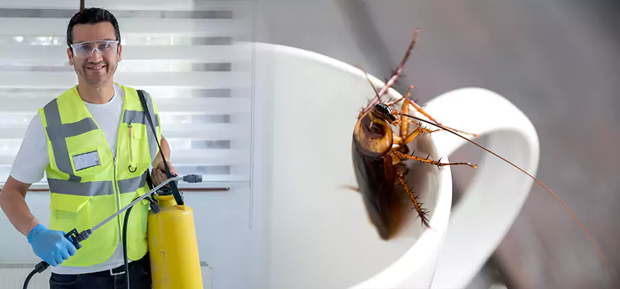 German Roach Infestation Treatment Canton