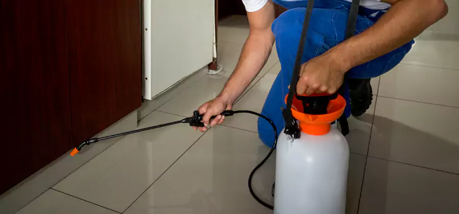 Indoor Mosquito Treatment in Canton