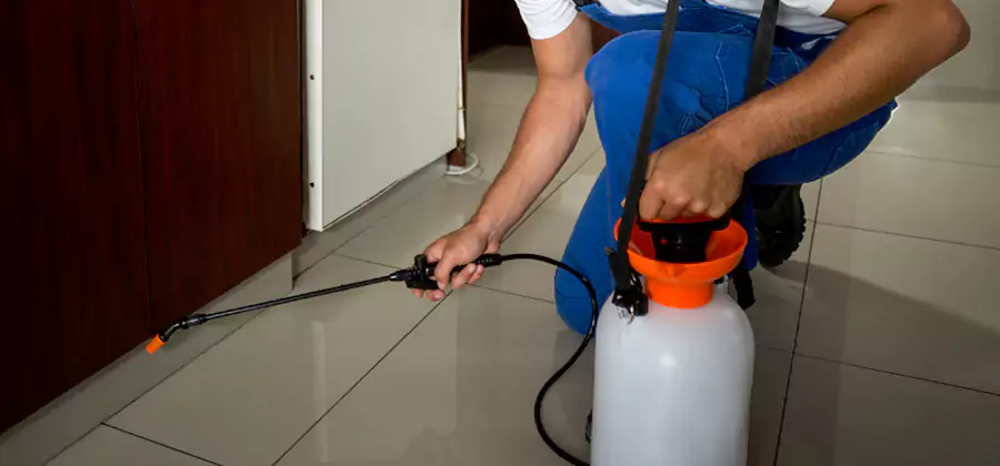 Indoor Insect Killer Solutions in Canton