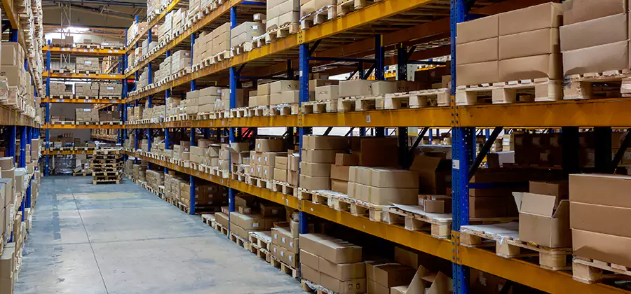 Warehouse Pest Control in Canton