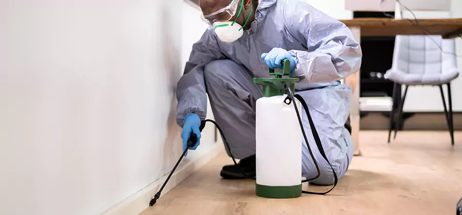 Long Lasting Mosquito Treatment in Canton
