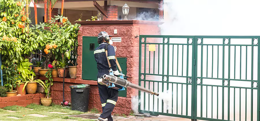 Backyard Mosquito Foggers Service in Canton