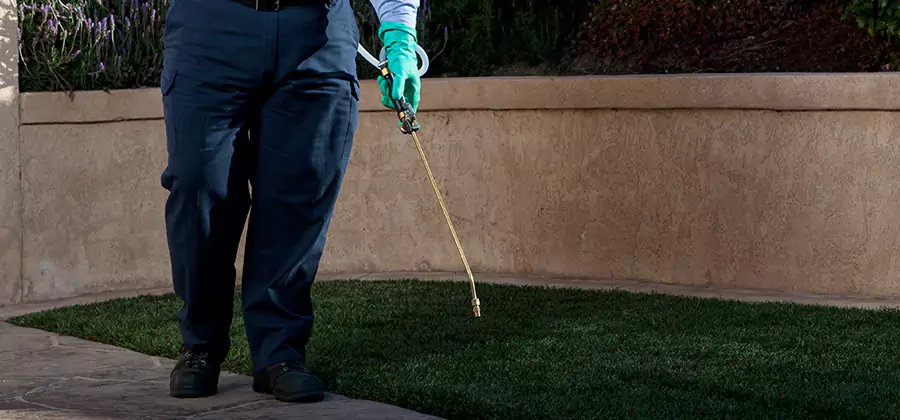 Soil Treatment for New Construction Termites in Canton