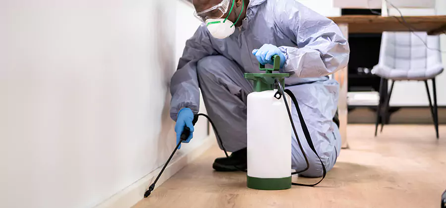 No Tent Termite Extermination With Electric Tool in Canton
