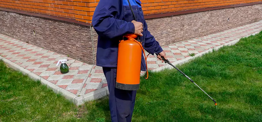 Non Toxic Termite Treatment in Canton