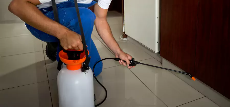 One Time Termite Control in Canton