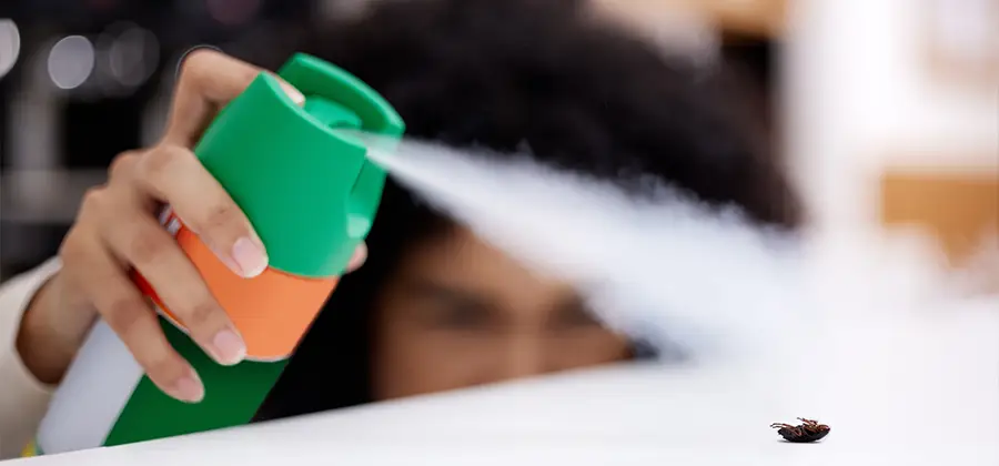 Child Safe Bed Bug Treatment in Canton