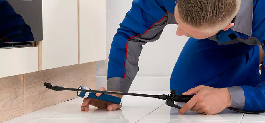 Moisture Treatment For Termite Control Service in Canton
