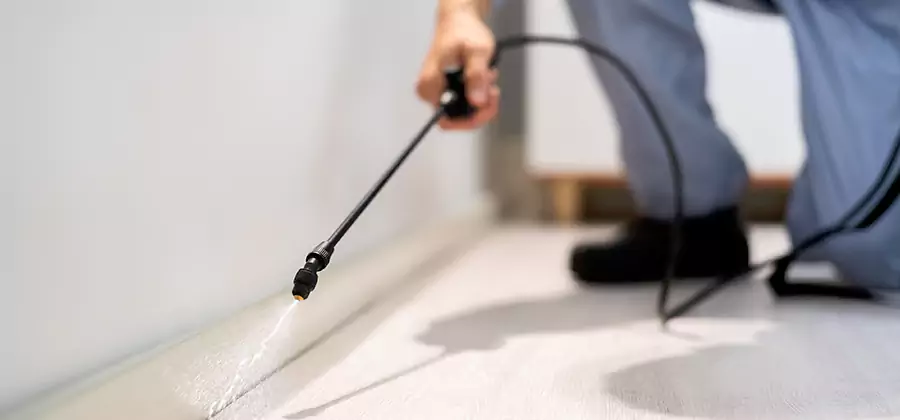 Direct Termite Injection Treatment in Canton