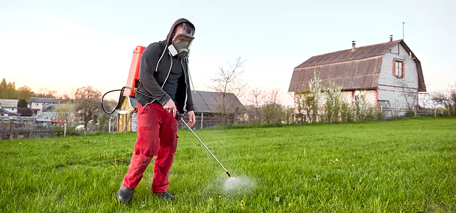 Flea and Tick Pest Control in Canton