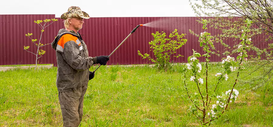 Flea and Tick Spray for Yard in Canton