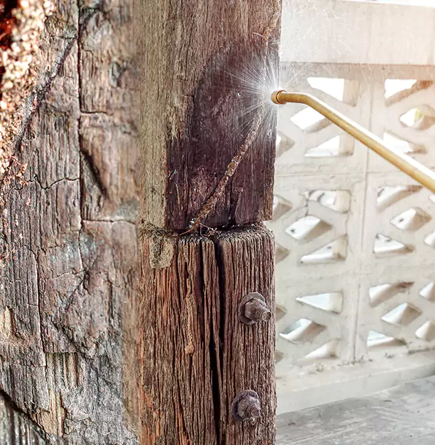 Why Choose Canton Pest Control Pro for Attic Termite Treatment in Canton, GA?