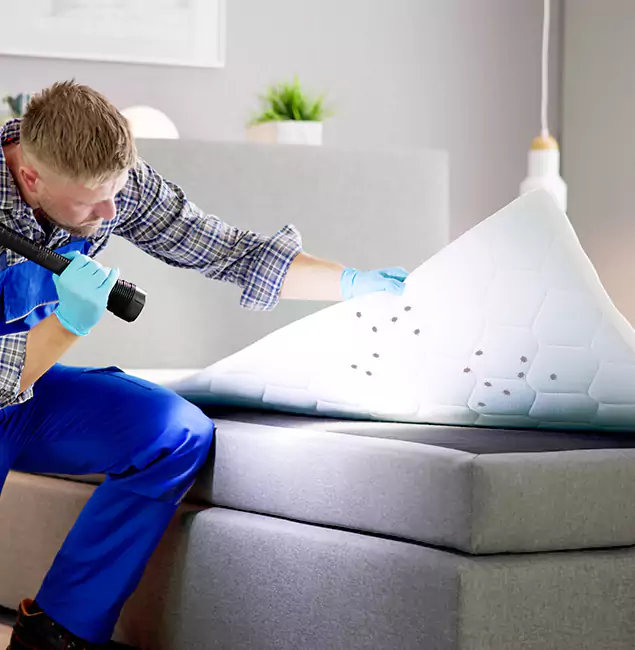 Why Choose Canton Pest Control Pro in Canton, GA?