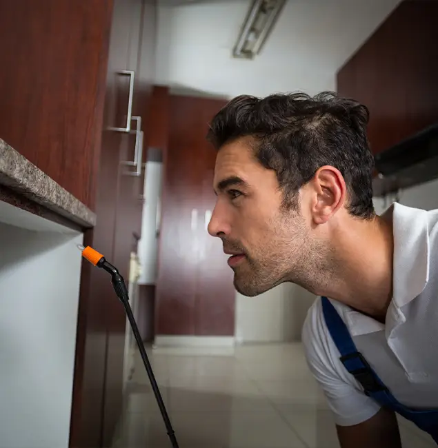 Why Choose Canton Pest Control Pro for Bed Bug Removal Cost in Canton, GA?