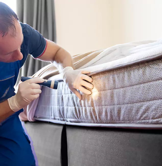 Why Choose Canton Pest Control Pro for Bed Bug Services in Canton, GA?