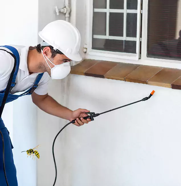 Why Canton Property Owners Choose Canton Pest Control Pro for Bee Nest Removal?