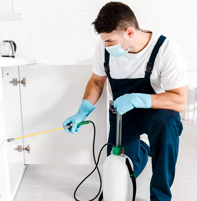 Why Choose Canton Pest Control Pro for Emergency Pest Control in Canton?