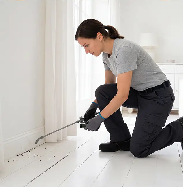 Why Canton, GA Property Owners Trust Canton Pest Control Pro for Fire Ant Control?