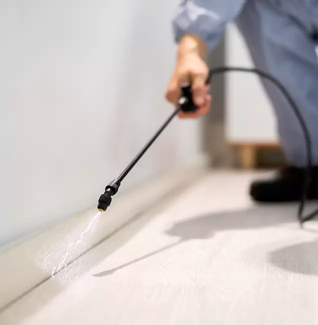 Why Choose Canton Pest Control Pro for Termite Treatment in Canton, GA?