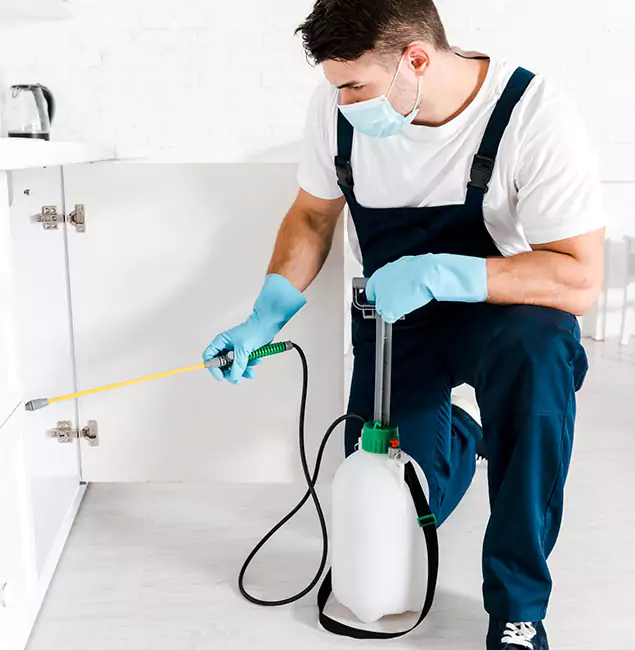 Why Canton, GA Homeowners Trust Us for German Roach Control?
