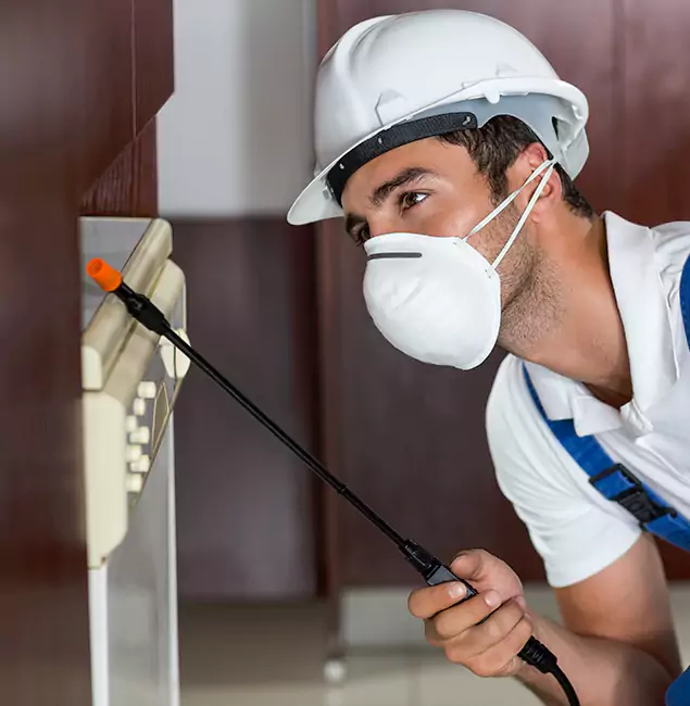 Why Canton Homeowners Rely on Canton Pest Control Pro for Tick Treatment?