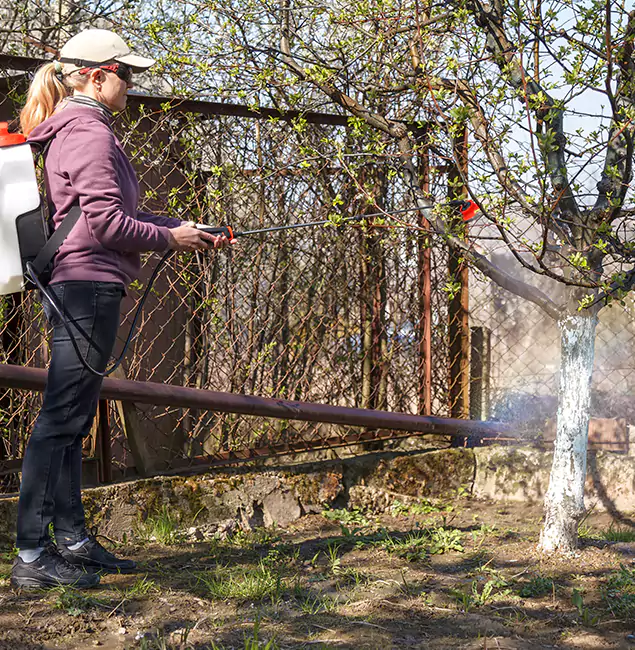 Why Canton Homeowners Choose Canton Pest Control Pro for Mosquito Abatement?