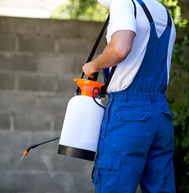 Why Canton Homeowners Rely on Canton Pest Control Pro for Mosquito Control?