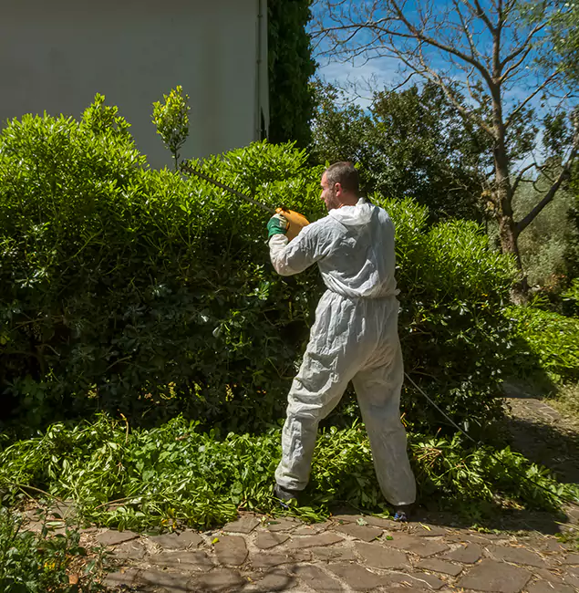 Why Canton Pest Control Pro Leads Mosquito Control in Canton, GA?