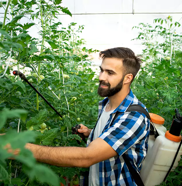 Why Canton Homeowners Choose Canton Pest Control Pro for Mosquito Spraying?