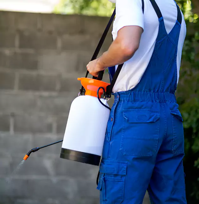 Why Canton Pest Control Pro Delivers the Best Mosquito Control in Canton, GA?