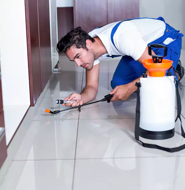 Why Canton Pest Control Pro Is the Proven Choice in Canton, GA?