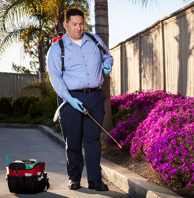 Why Choose Canton Pest Control Pro in Canton, GA?