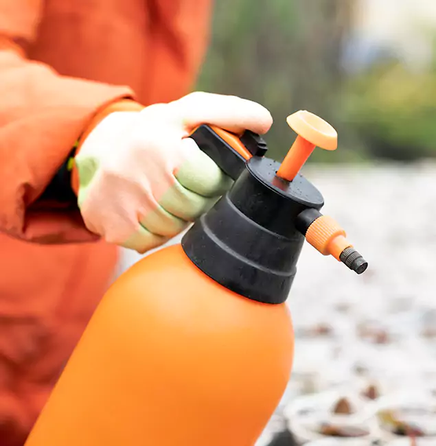 Why Choose Canton Pest Control Pro for Orange Termite Treatment in Canton, GA?