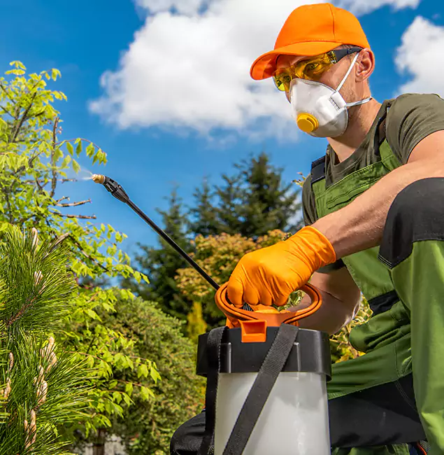 Why Choose Canton Pest Control Pro for Outdoor Pest Control in Canton, GA?