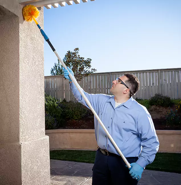 Why Choose Canton Pest Control Pro for Pest Control Services in Canton, GA?