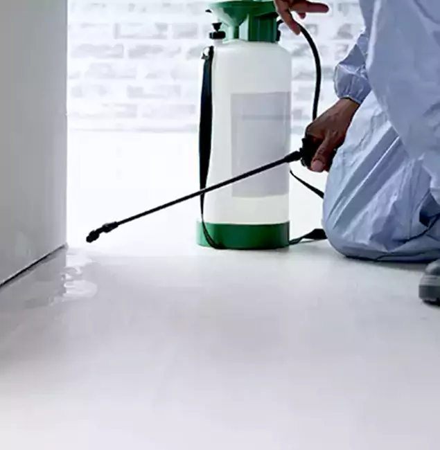 Why Choose Canton Pest Control Pro for Rat Exterminator in Canton, GA?