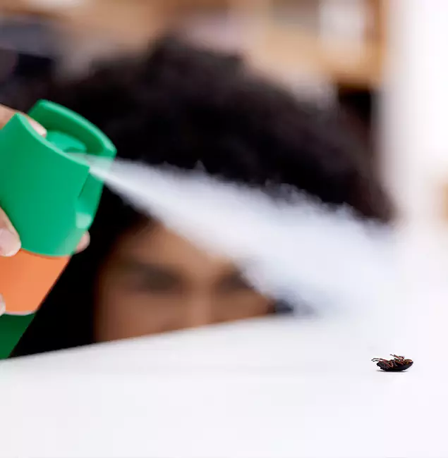 Why Canton, GA Homeowners Choose Canton Pest Control Pro for Roach Pest Control?