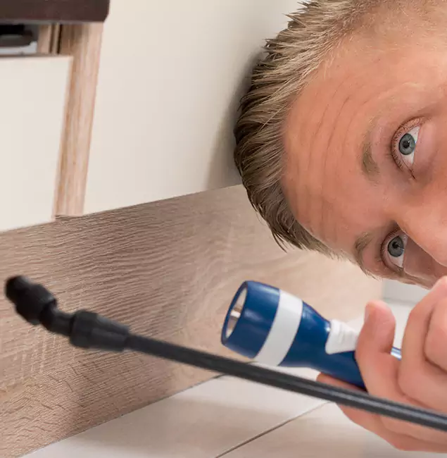 Why Choose Canton Pest Control Pro for Rodent Exterminator in Canton, GA?