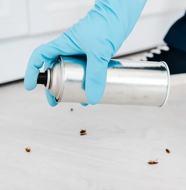 Why Choose Canton Pest Control Pro for Safe Bed Bug Treatment in Canton, GA?