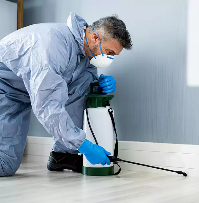 Why Choose Canton Pest Control Pro for Subterranean Termites Treatment in Canton, GA?
