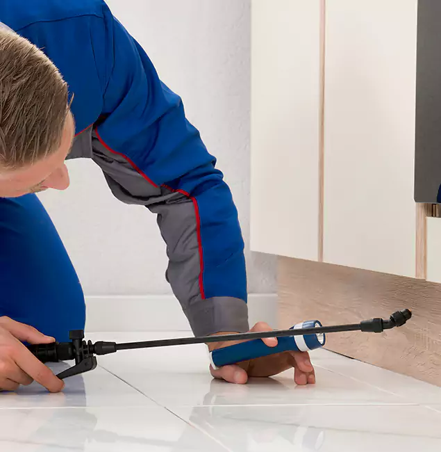 Why Canton Residents Choose Canton Pest Control Pro to Get Rid of Sugar Ants?