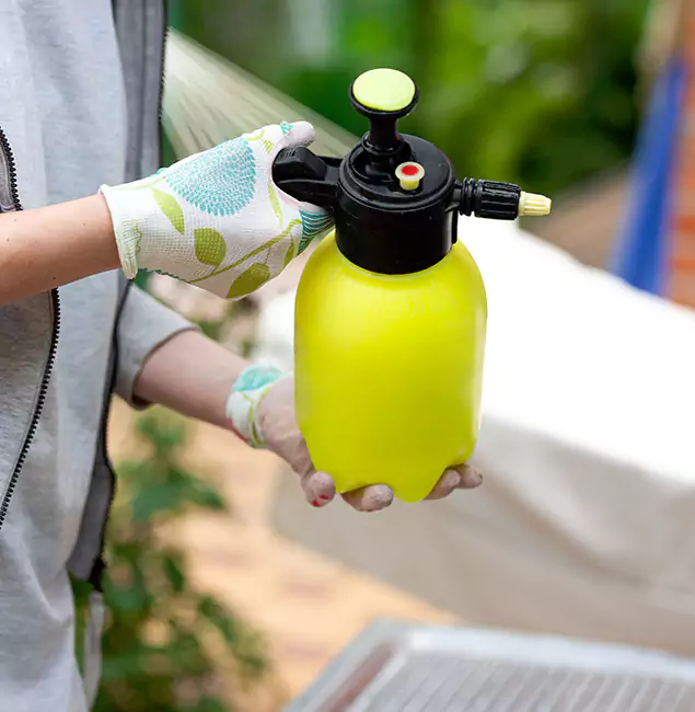 Why Choose Us: Canton Pest Control Pro Termite Spraying Experts in Canton, GA?