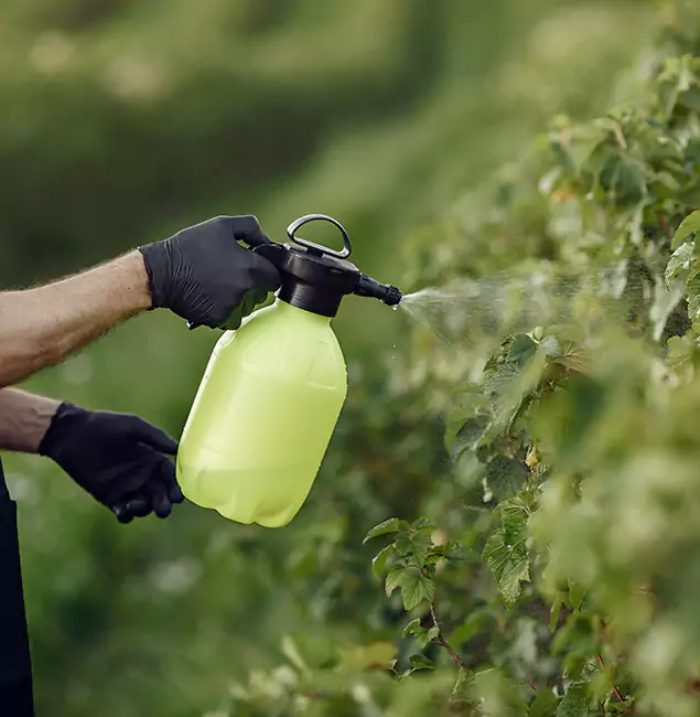Why Canton Homeowners Choose Canton Pest Control Pro for Yard Tick Treatment?
