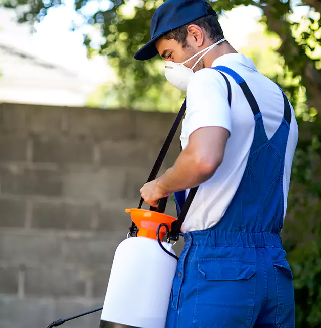 Why Canton Pest Control Pro Is the Right Choice for Yellow Jacket Removal in Canton, GA?