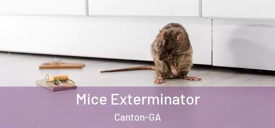 Mice Exterminator Canton-GA