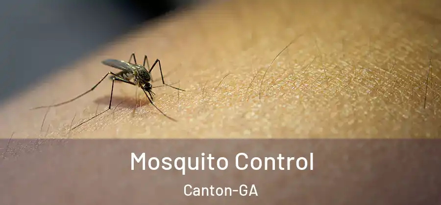 Mosquito Control Canton-GA
