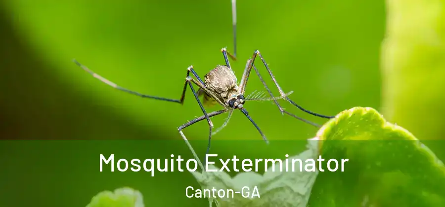 Mosquito Exterminator Canton-GA