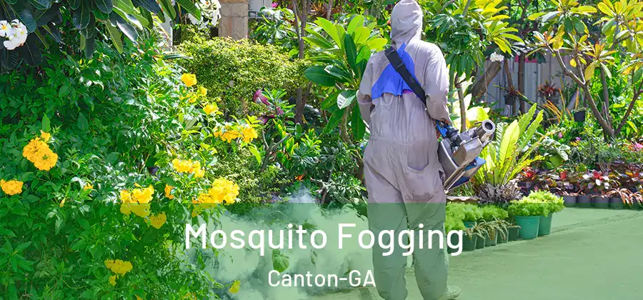  Mosquito Fogging Canton-GA